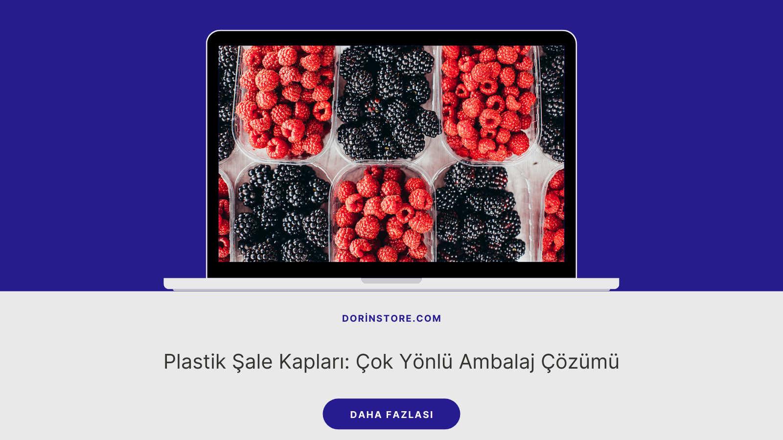 Plastik Şale Kapları: Çok Yönlü Ambalaj Çözümü